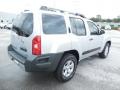 Silver Lightning - Xterra S Photo No. 9