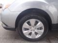 2011 Steel Silver Metallic Subaru Outback 2.5i Premium Wagon  photo #9