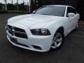 Ivory Pearl - Charger SE Photo No. 1