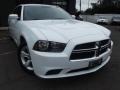 Ivory Pearl - Charger SE Photo No. 2