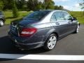 Steel Grey Metallic - C 300 4Matic Luxury Photo No. 7