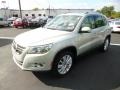 White Gold Metallic - Tiguan SEL 4Motion Photo No. 3