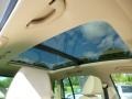 White Gold Metallic - Tiguan SEL 4Motion Photo No. 10