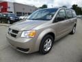 Light Sandstone Metallic - Grand Caravan SE Photo No. 3