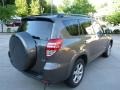 Pyrite Metallic - RAV4 Limited 4WD Photo No. 11