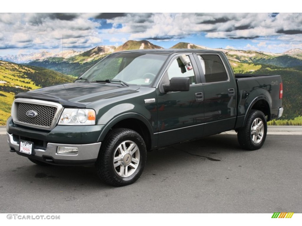 2005 F150 XLT SuperCrew 4x4 - Aspen Green Metallic / Tan photo #5