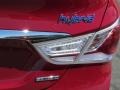 Venetian Red Pearl - Sonata Hybrid Limited Photo No. 7
