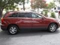 Cognac Crystal Pearl - Pacifica Touring Photo No. 43