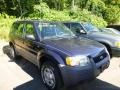 True Blue Metallic 2002 Ford Escape XLS V6 4WD