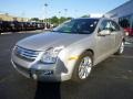 Silver Birch Metallic - Fusion SEL V6 AWD Photo No. 7