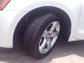 Candy White - Passat 2.5L SE Photo No. 13