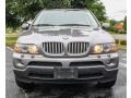 Stratus Grey Metallic - X5 4.4i Photo No. 2