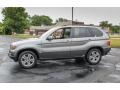 Stratus Grey Metallic - X5 4.4i Photo No. 3