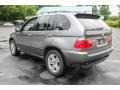 Stratus Grey Metallic - X5 4.4i Photo No. 4
