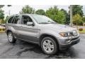 Stratus Grey Metallic - X5 4.4i Photo No. 8