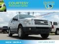 Silver Birch Metallic 2007 Ford Expedition XLT
