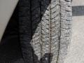 Silver Birch Metallic - Expedition XLT Photo No. 28