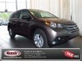 2013 Urban Titanium Metallic Honda CR-V EX  photo #1