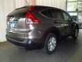 2013 Urban Titanium Metallic Honda CR-V EX  photo #3