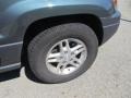 2004 Onyx Green Pearl Jeep Grand Cherokee Laredo 4x4  photo #17