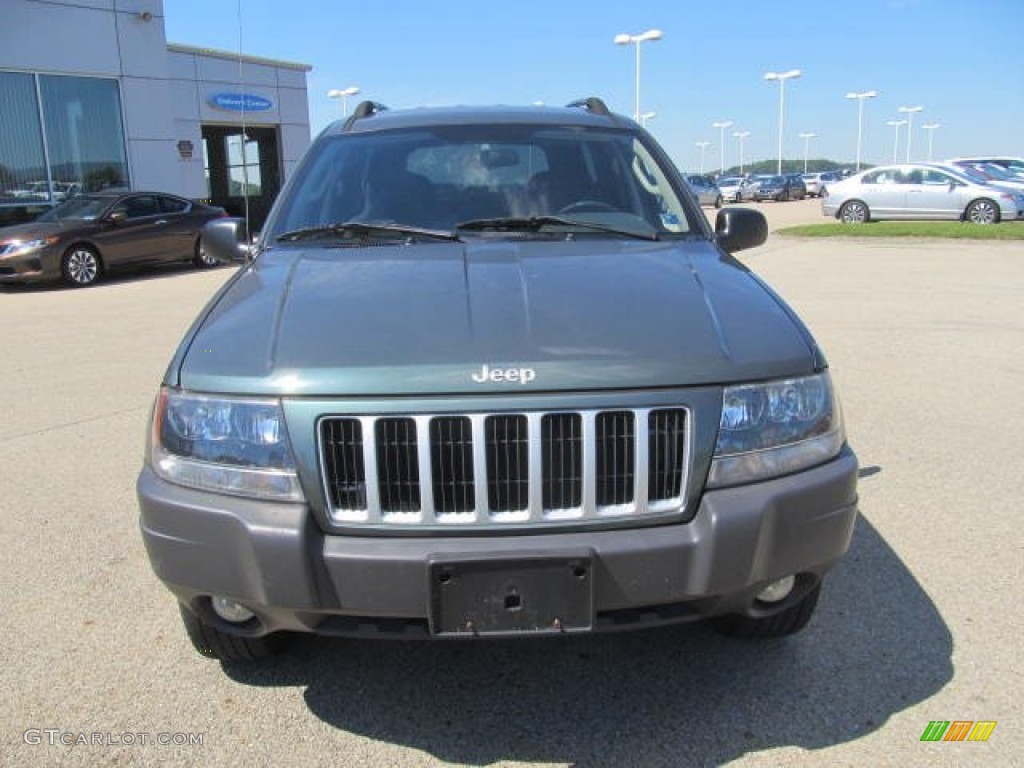 2004 Grand Cherokee Laredo 4x4 - Onyx Green Pearl / Dark Slate Gray photo #18