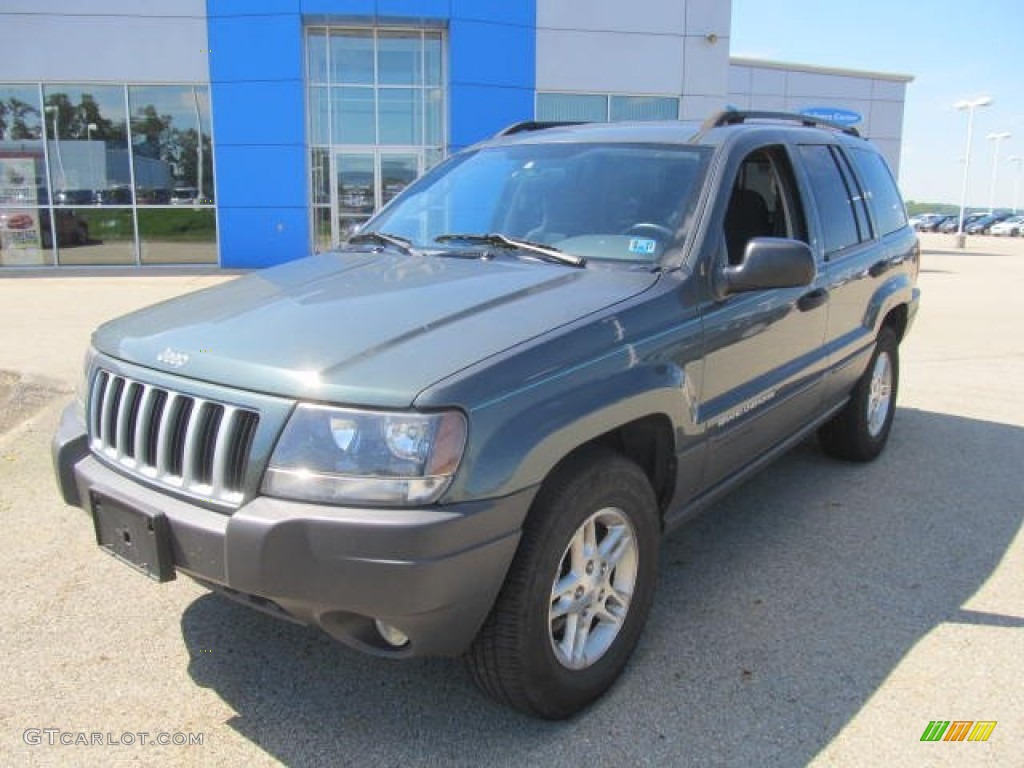 2004 Grand Cherokee Laredo 4x4 - Onyx Green Pearl / Dark Slate Gray photo #19
