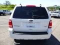 2010 White Suede Ford Escape XLT V6 4WD  photo #3