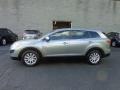 2010 Liquid Silver Metallic Mazda CX-9 Touring AWD  photo #8