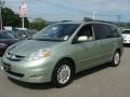 2010 Silver Pine Mica Toyota Sienna Limited  photo #3