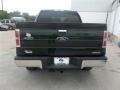 2013 Green Gem Metallic Ford F150 XLT SuperCrew 4x4  photo #4