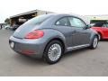 Platinum Gray Metallic - Beetle 2.5L Photo No. 2