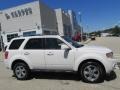 White Suede - Escape Limited V6 4WD Photo No. 2