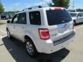 White Suede - Escape Limited V6 4WD Photo No. 9
