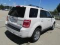 White Suede - Escape Limited V6 4WD Photo No. 11