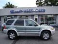 Titanium Green Metallic 2006 Ford Escape Hybrid