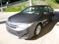 Magnetic Gray Metallic - Camry L Photo No. 5
