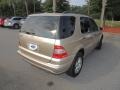 Desert Silver Metallic - ML 350 4Matic Photo No. 13