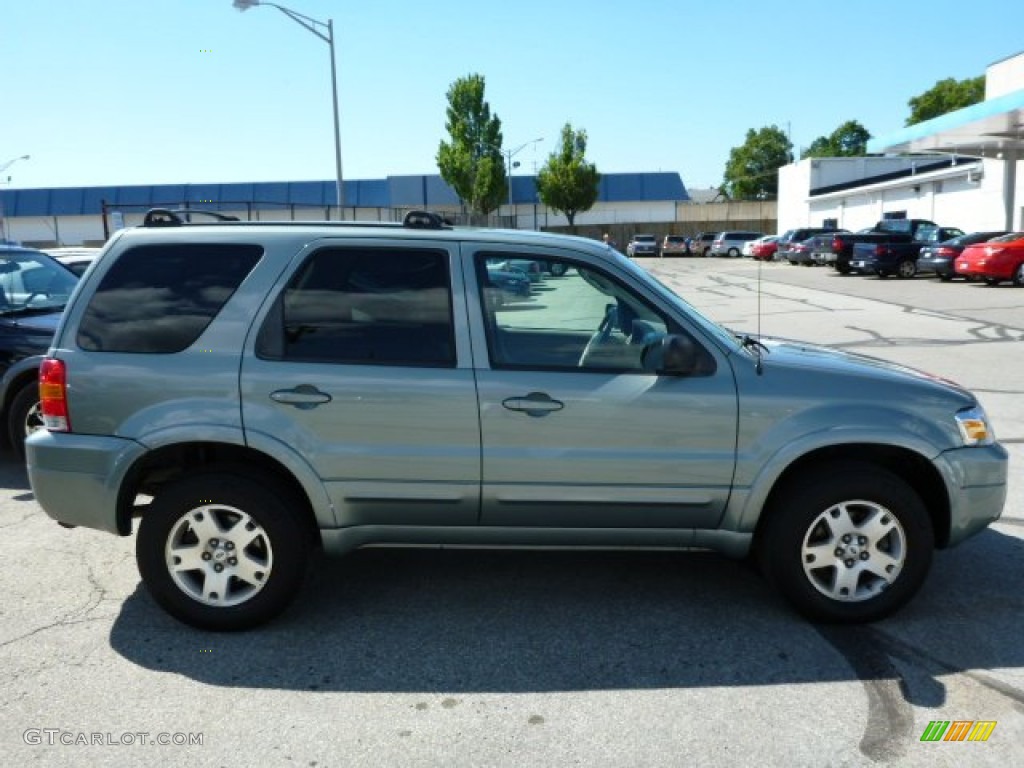 2006 Escape Limited 4WD - Titanium Green Metallic / Medium/Dark Pebble photo #2