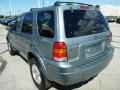 2006 Titanium Green Metallic Ford Escape Limited 4WD  photo #5