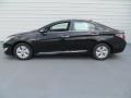 2013 Black Onyx Pearl Hyundai Sonata Hybrid Limited  photo #6