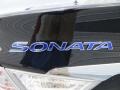 2013 Black Onyx Pearl Hyundai Sonata Hybrid Limited  photo #13