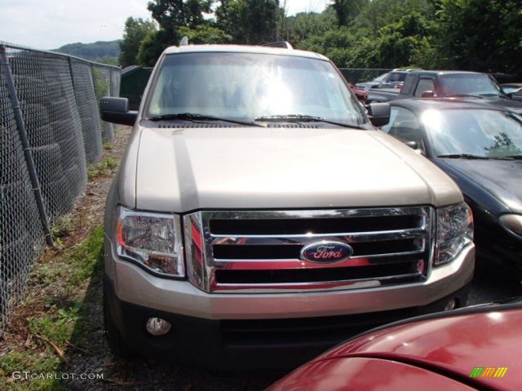 2007 Expedition EL XLT 4x4 - Pueblo Gold Metallic / Stone photo #2