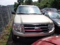 2007 Pueblo Gold Metallic Ford Expedition EL XLT 4x4  photo #2