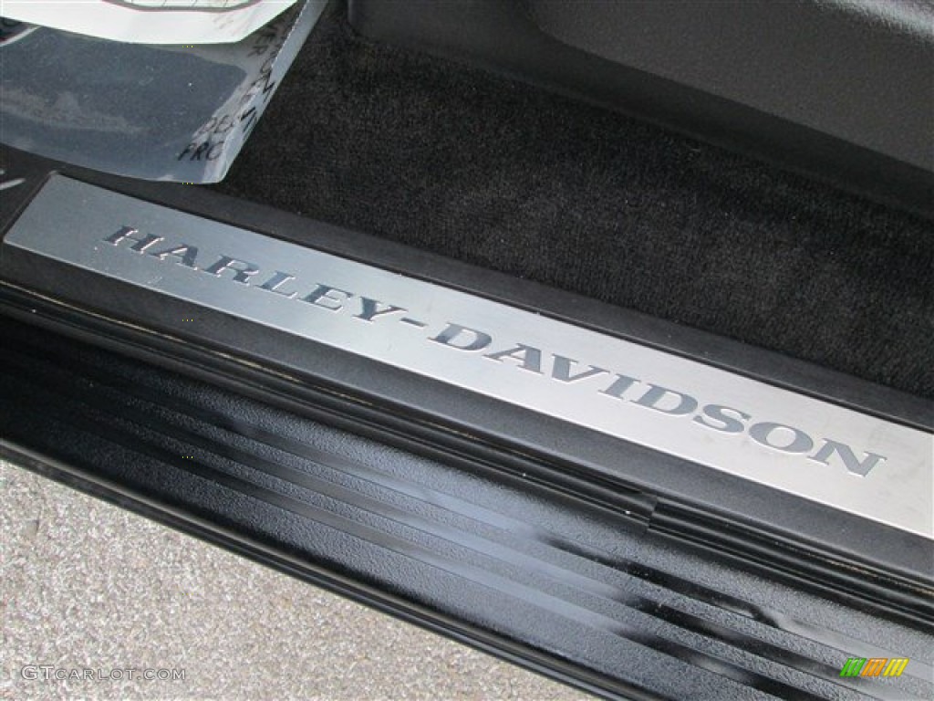 2010 F150 Harley-Davidson SuperCrew - Tuxedo Black / Harley Davidson Lava Red/Black photo #11