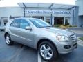 Pewter Metallic - ML 350 4Matic Photo No. 1