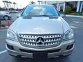 Pewter Metallic - ML 350 4Matic Photo No. 2