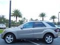 Pewter Metallic - ML 350 4Matic Photo No. 4