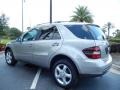 Pewter Metallic - ML 350 4Matic Photo No. 5