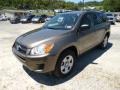 Pyrite Metallic - RAV4 I4 4WD Photo No. 3