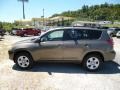 Pyrite Metallic - RAV4 I4 4WD Photo No. 4